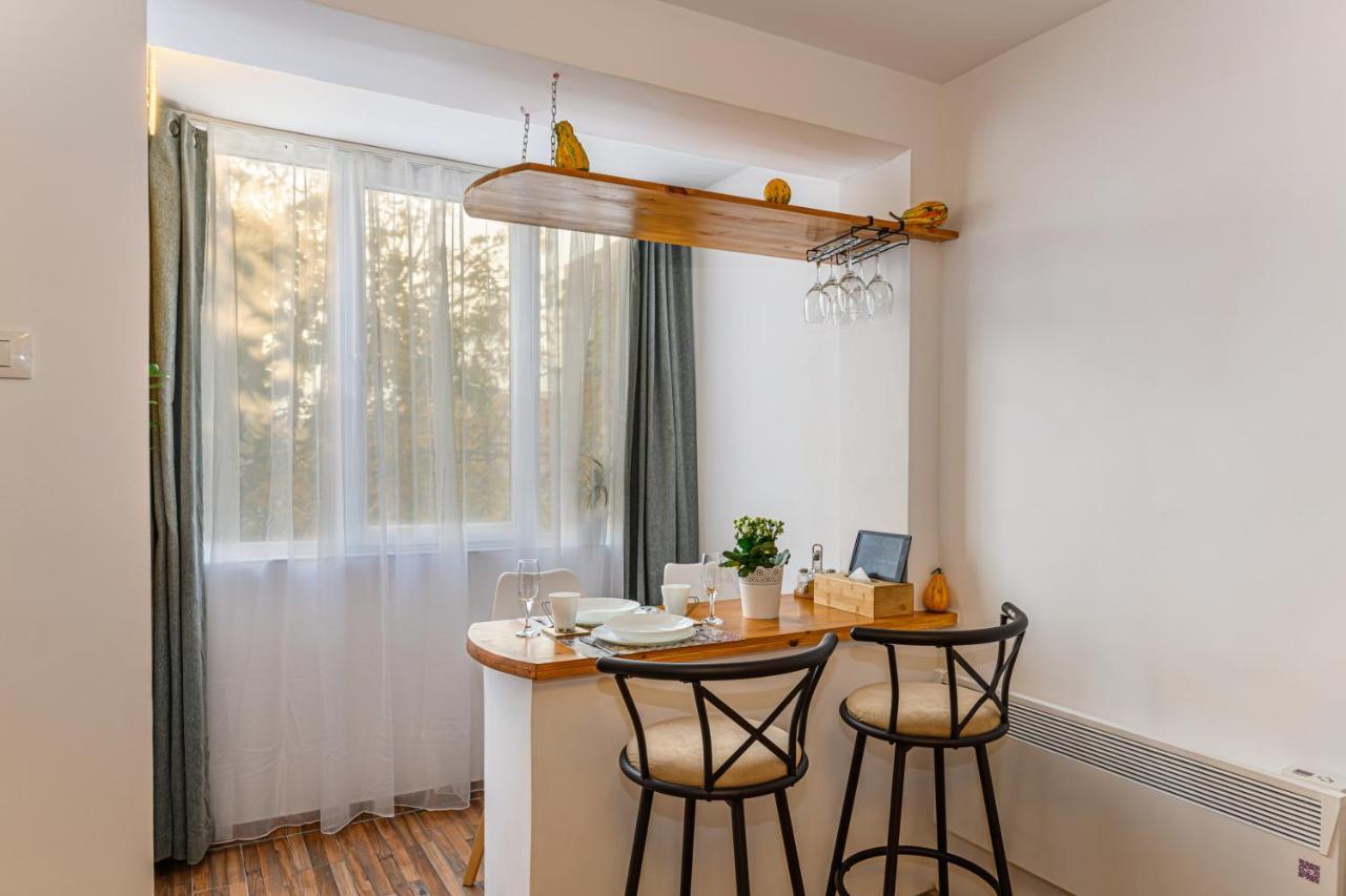 Jad - Family - Apartments & Studios Brasov Luaran gambar
