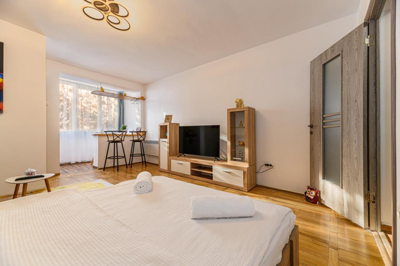 Jad - Family - Apartments & Studios Brasov Luaran gambar